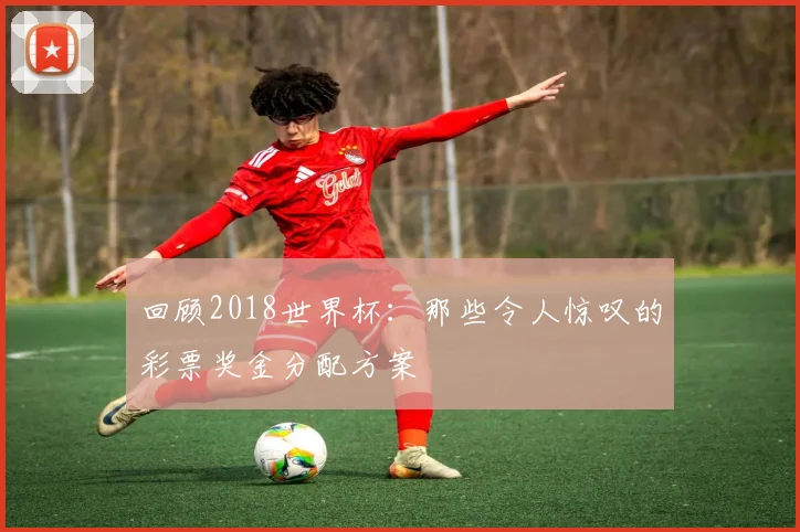 回顾2018世界杯：那些令人惊叹的彩票奖金分配方案