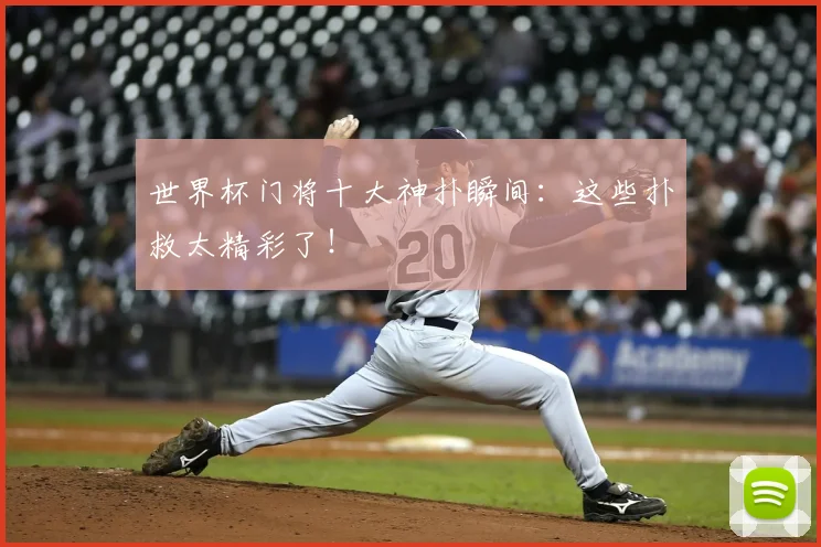 世界杯门将十大神扑瞬间：这些扑救太精彩了！