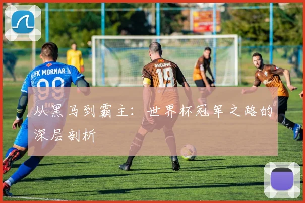 从黑马到霸主：世界杯冠军之路的深层剖析