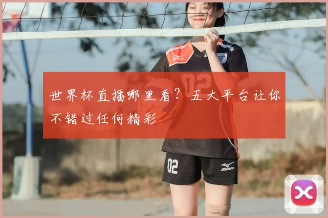 世界杯直播哪里看？五大平台让你不错过任何精彩