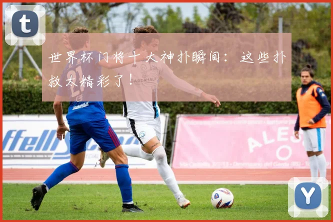 世界杯门将十大神扑瞬间：这些扑救太精彩了！
