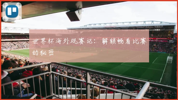 世界杯海外观赛记：解锁畅看比赛的秘密